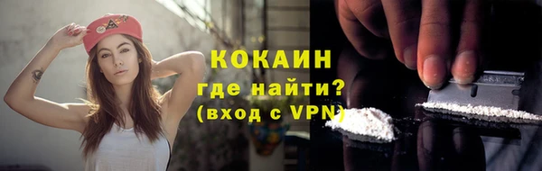 дживик Абаза