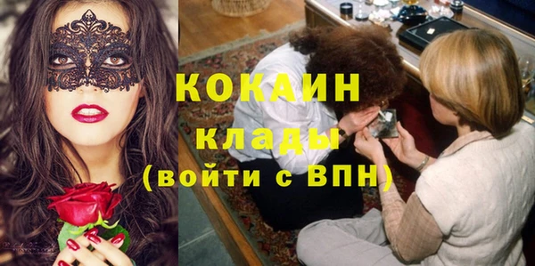 не бодяженный Алексин
