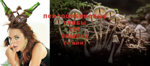 молекула духа Абдулино
