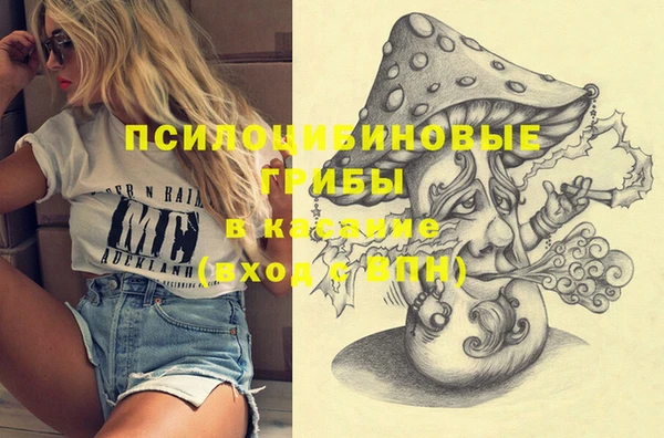 дживик Абаза