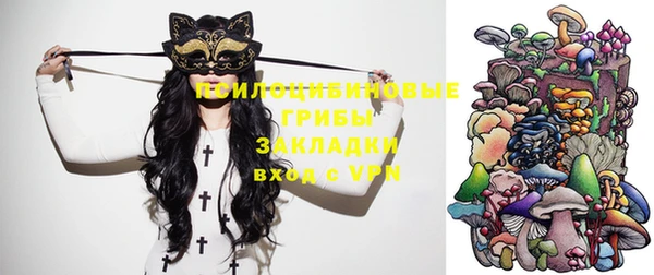 спиды Алзамай